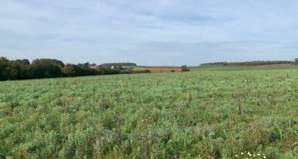 Ottange Maison neuve - 1774961-3191annonce220240126KVNnm.jpeg Maisons Horizon