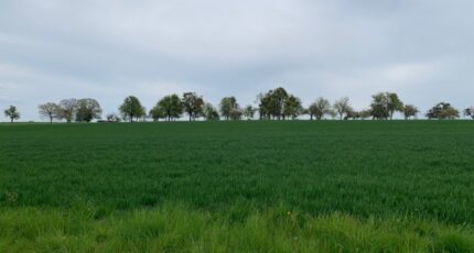 Waldwisse Terrain à bâtir - 1847242-5140annonce420240430HUHb2.jpeg Maisons Horizon