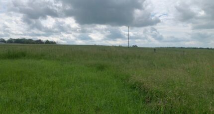 Distroff Terrain à bâtir - 1866075-3191annonce120240528f9nSP.jpeg Maisons Horizon