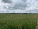 Maison à construire à Distroff (57925) 1866048-3191annonce120240528n5srU.jpeg Maisons Horizon