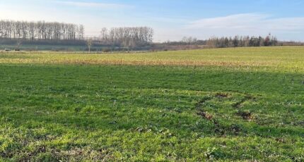 Mont-Bonvillers Maison neuve - 2059871-5138annonce1202501239JiiT.jpeg Maisons Horizon