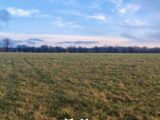 Terrain à bâtir à Bréhain-la-Ville (54190) 2070392-5138annonce220250205tyThF.jpeg Maisons Horizon