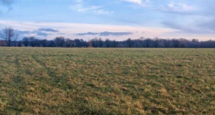 Bréhain-la-Ville Maison neuve - 2070375-5138annonce2202502052GdoS.jpeg Maisons Horizon
