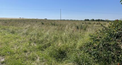 Haucourt-Moulaine Maison neuve - 2072423-7264annonce120250206FkCTq.jpeg Maisons Horizon