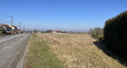 Haucourt-Moulaine Maison neuve - 2088599-5136annonce120250224vT13I.jpeg Maisons Horizon