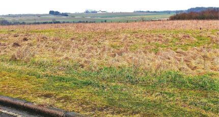 Haucourt-Moulaine Maison neuve - 2100166-5138annonce320250308R4nbO.jpeg Maisons Horizon