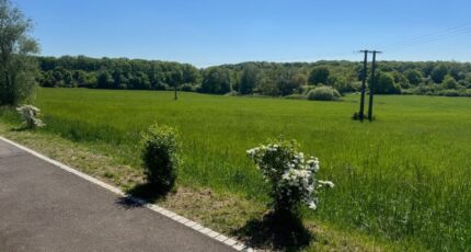Entrange Maison neuve - 2143818-5140annonce120250429n6lKs.jpeg Maisons Horizon
