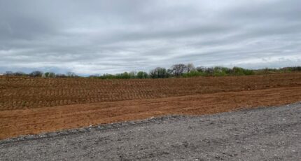 Ottange Maison neuve - 2143873-5140annonce3202504297afT5.jpeg Maisons Horizon