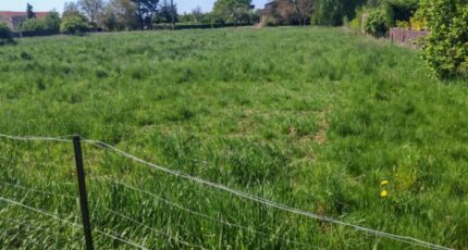 Ars-Laquenexy Maison neuve - 2146443-5138annonce220250502JZLTS.jpeg Maisons Horizon