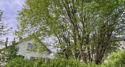 Yutz Maison neuve - 2147812-5141annonce320250503hRfP7.jpeg Maisons Horizon