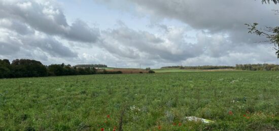Terrain à bâtir à , Moselle