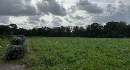 Ottange Terrain à bâtir - 2073474-5139annonce120250207XdLIU.jpeg Maisons Horizon