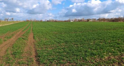 Louvigny Maison neuve - 2272857-5138annonce1202509161ZWp9.jpeg Maisons Horizon