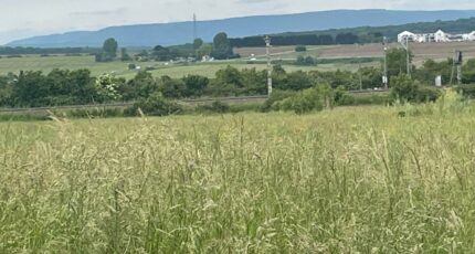 Distroff Terrain à bâtir - 2278144-5141annonce1202509201gQJL.jpeg Maisons Horizon