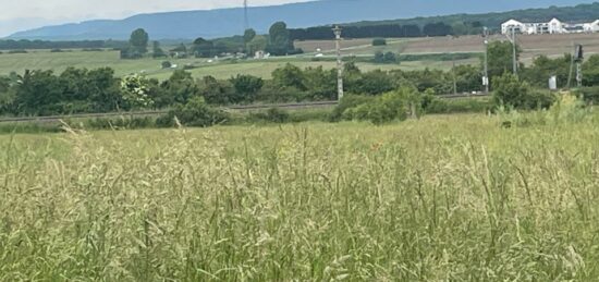 Terrain à bâtir à Distroff, Grand Est