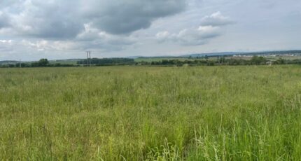 Distroff Maison neuve - 2278196-5141annonce120250920zaATB.jpeg Maisons Horizon