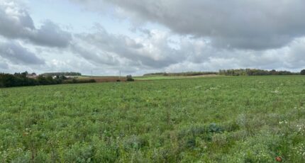 Thionville Terrain à bâtir - 2280063-5139annonce320250922s5UHU.jpeg Maisons Horizon