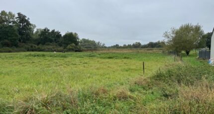 Chémery-les-Deux Maison neuve - 2290503-5140annonce220251002bH8Qa.jpeg Maisons Horizon