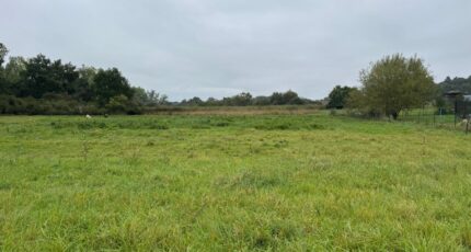 Chémery-les-Deux Maison neuve - 2290503-5140annonce320251002KlhSD.jpeg Maisons Horizon