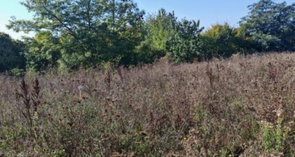 Verny Maison neuve - 2297884-5138annonce320251008tHKU5.jpeg Maisons Horizon