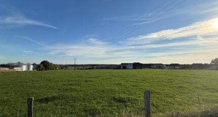 Kirschnaumen Maison neuve - 2305503-5140annonce220251015JpLXs.jpeg Maisons Horizon