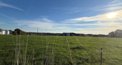 Kirschnaumen Maison neuve - 2305503-5140annonce420251015cBxeO.jpeg Maisons Horizon