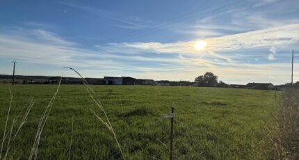 Kirschnaumen Maison neuve - 2305512-5140annonce520251015T3lzT.jpeg Maisons Horizon