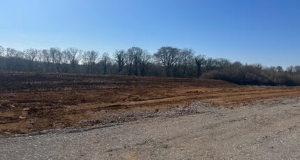 Florange Maison neuve - 2314394-5139annonce120251022zFQxk.jpeg Maisons Horizon