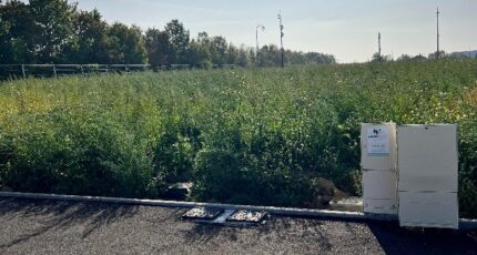 Tomblaine Maison neuve - 2347194-5138annonce120251124xVeT8.jpeg Maisons Horizon