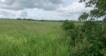 Distroff Maison neuve - 2351252-5140annonce220251127WJndy.jpeg Maisons Horizon