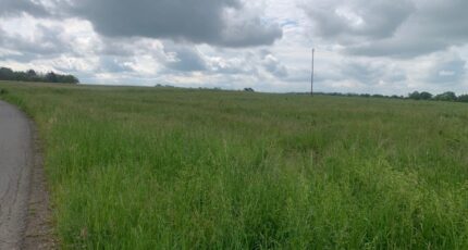 Distroff Maison neuve - 2351252-5140annonce5202511279drlp.jpeg Maisons Horizon