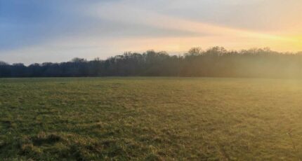 Tiercelet Maison neuve - 2351548-5138annonce120251127q2CMS.jpeg Maisons Horizon