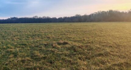 Bréhain-la-Ville Terrain à bâtir - 2429601-5138annonce320260215ztOSH.jpeg Maisons Horizon