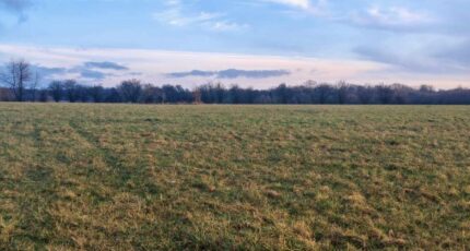 Bréhain-la-Ville Maison neuve - 2429603-5138annonce120260215dIyZl.jpeg Maisons Horizon