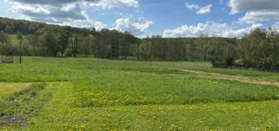 Terrain à bâtir à Thionville, Grand Est