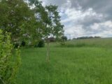 Maison neuve à Distroff (57925) 2608322-5140annonce120260825VXTvZ.jpeg Maisons Horizon