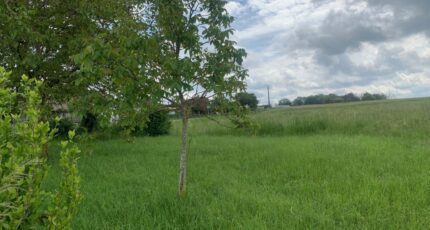 Distroff Maison neuve - 2608322-5140annonce120260825VXTvZ.jpeg Maisons Horizon