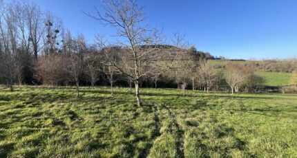 Kanfen Maison neuve - 2671880-5141annonce420260705CDPzp.jpeg Maisons Horizon