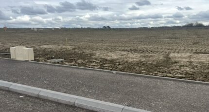 Distroff Maison neuve - 2671825-5141annonce120261010T8ltO.jpeg Maisons Horizon
